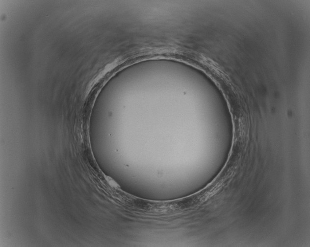 X0000067951165200605041818