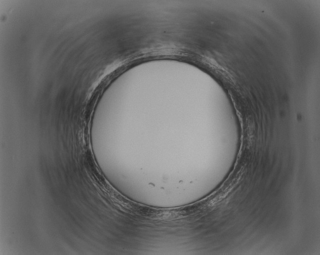 X0000067951166200605041818