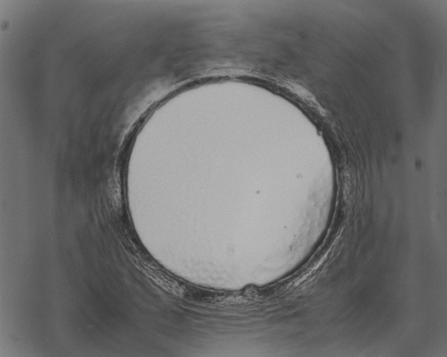 X0000067951167200605041818