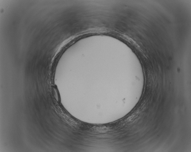 X0000067951168200605041818