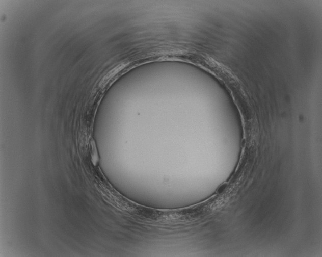 X0000067951169200605041818