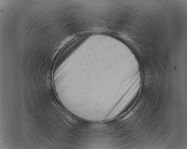 X0000067951170200605041818