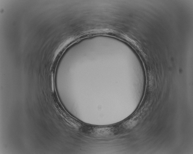 X0000067951171200605041818