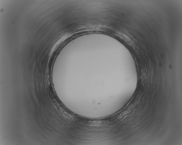 X0000067951172200605041818