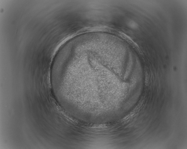 X0000067951174200605041818