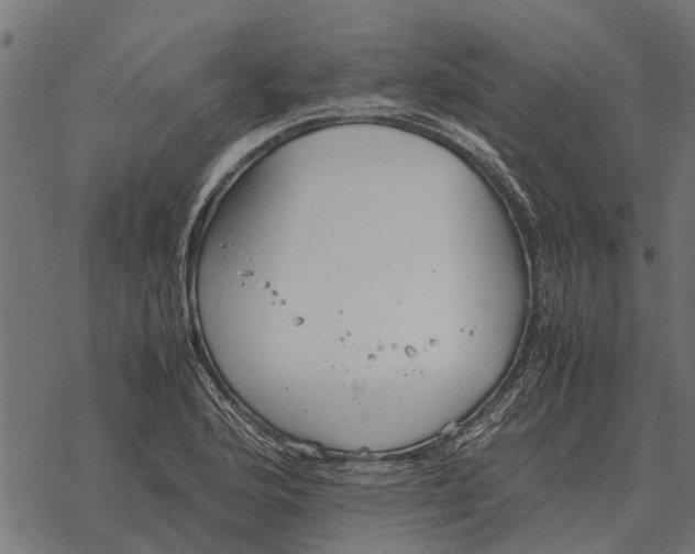 X0000067951176200605041818