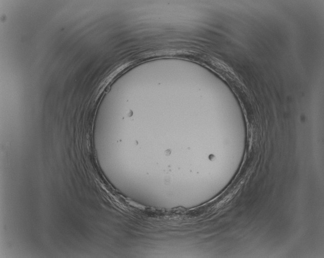 X0000067951177200605041818