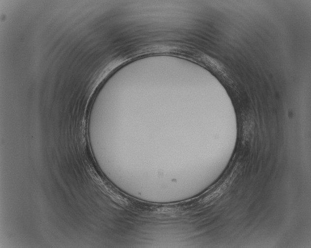 X0000067951178200605041818