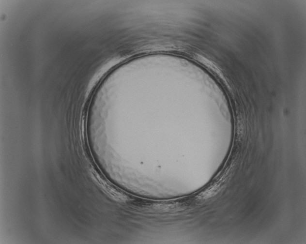 X0000067951179200605041818