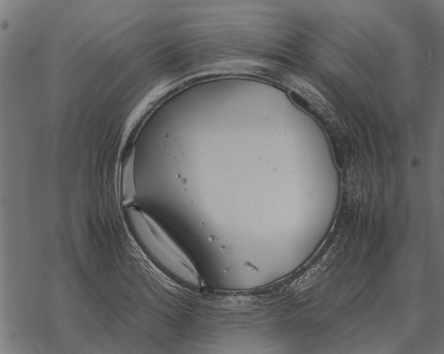 X0000067951180200605041818