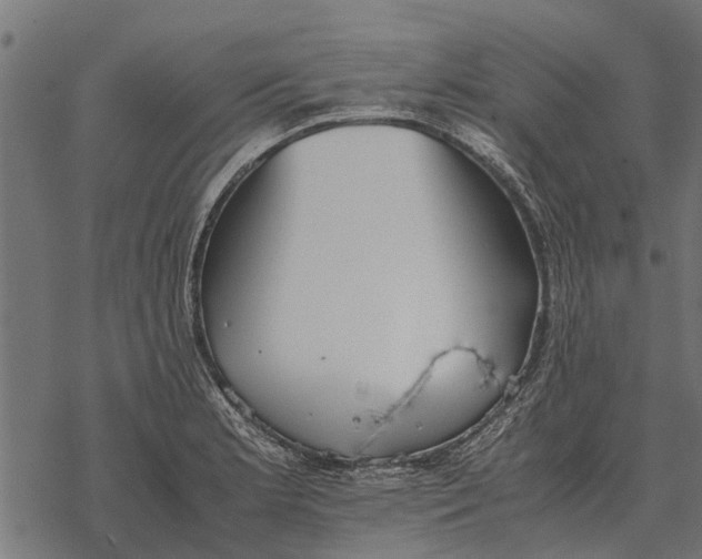 X0000067951181200605041818