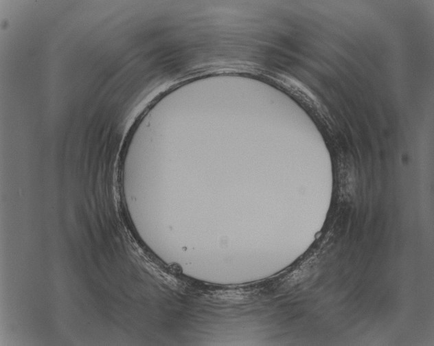 X0000067951182200605041818