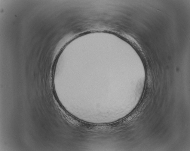 X0000067951183200605041818