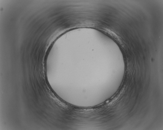 X0000067951184200605041818