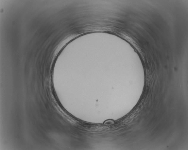 X0000067951187200605041818