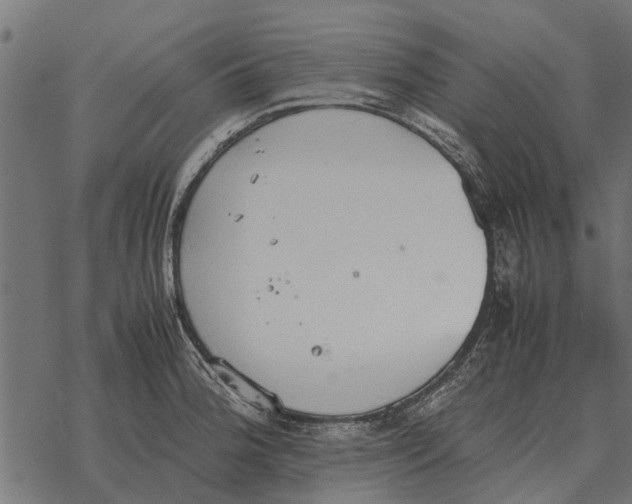 X0000067951188200605041818