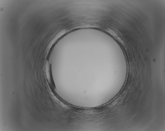 X0000067951189200605041818