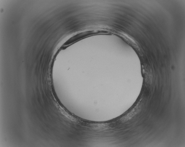 X0000067951192200605041818