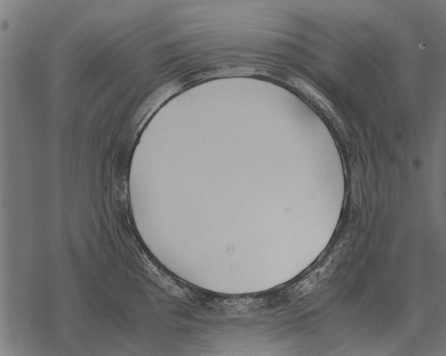 X0000067951193200605041818