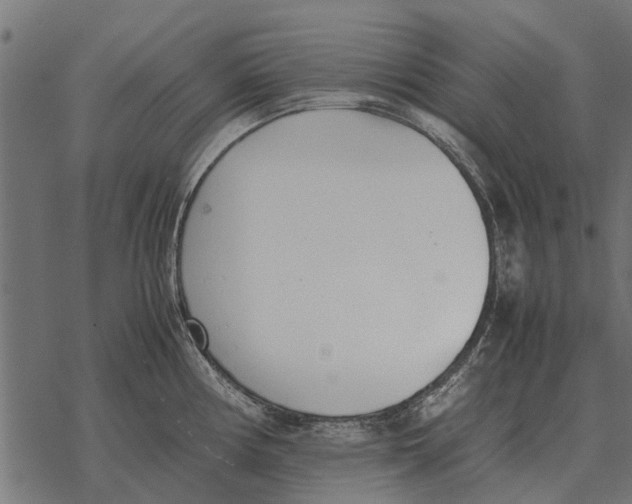 X0000067951194200605041818