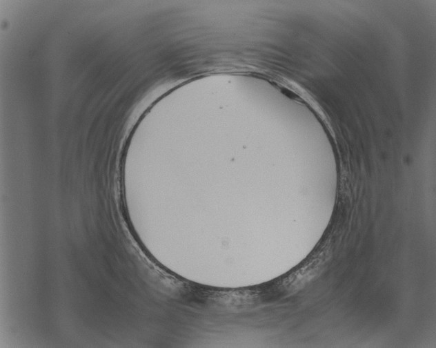 X0000067951195200605041818