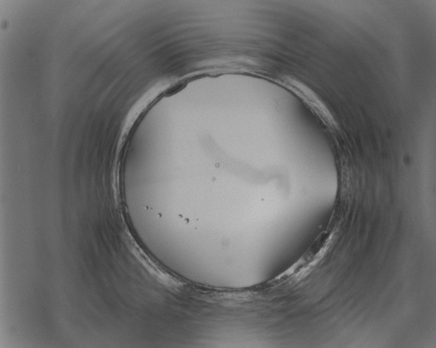 X0000067951196200605041818