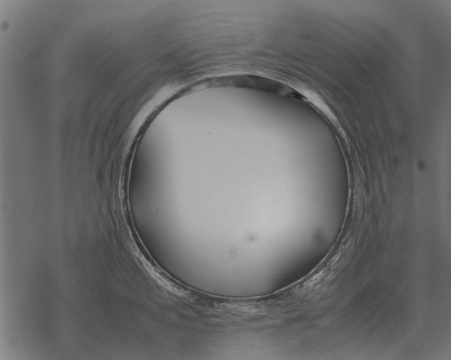 X0000067951197200605041818