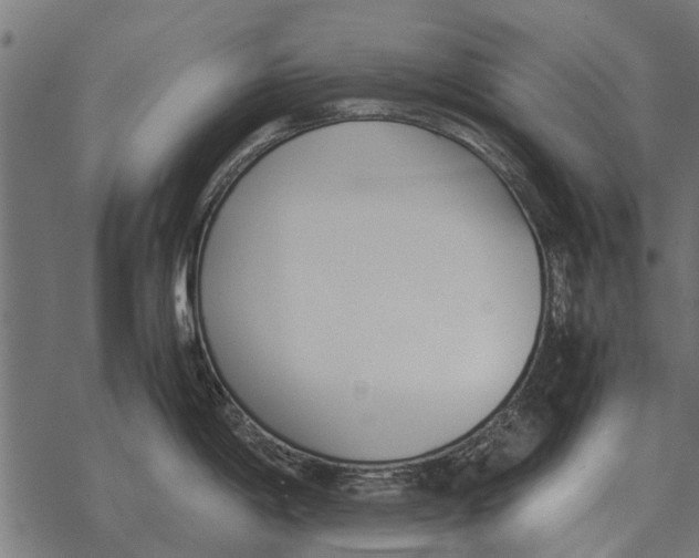 X0000067951198200605041818