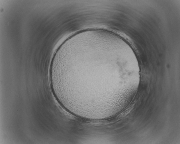 X0000067951199200605041818