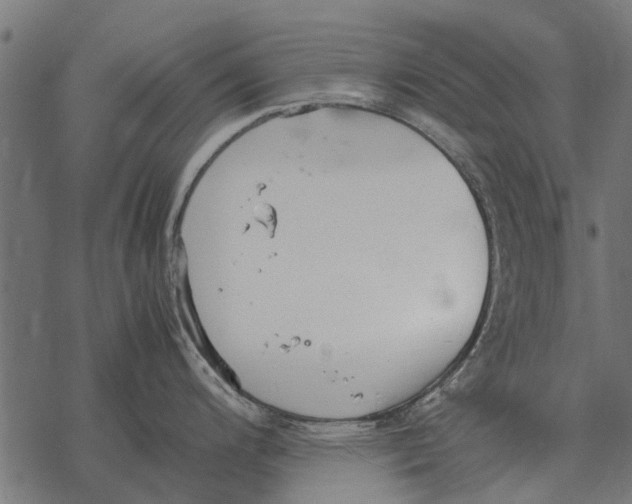 X0000067951200200605041818