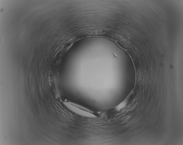 X0000067951202200605041817