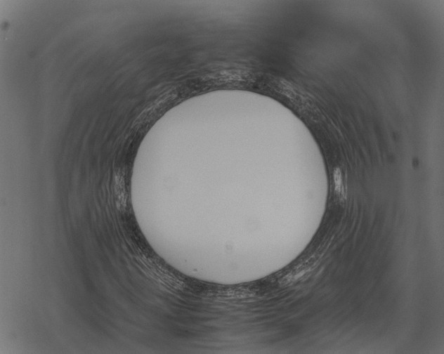 X0000067951203200605041817