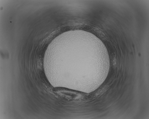 X0000067951204200605041817