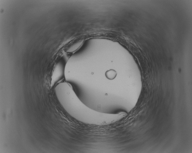 X0000067951206200605041817