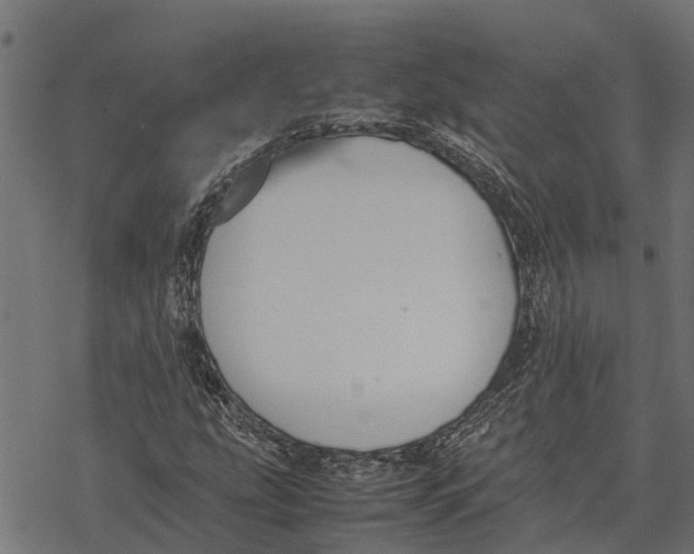 X0000067951207200605041817