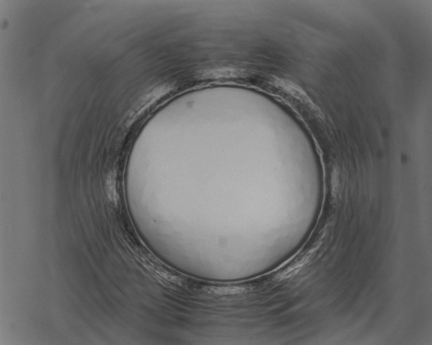 X0000067951209200605041817