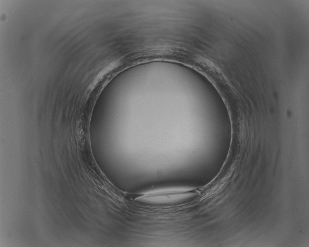 X0000067951210200605041817