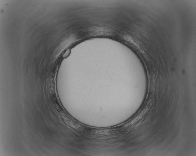 X0000067951211200605041817