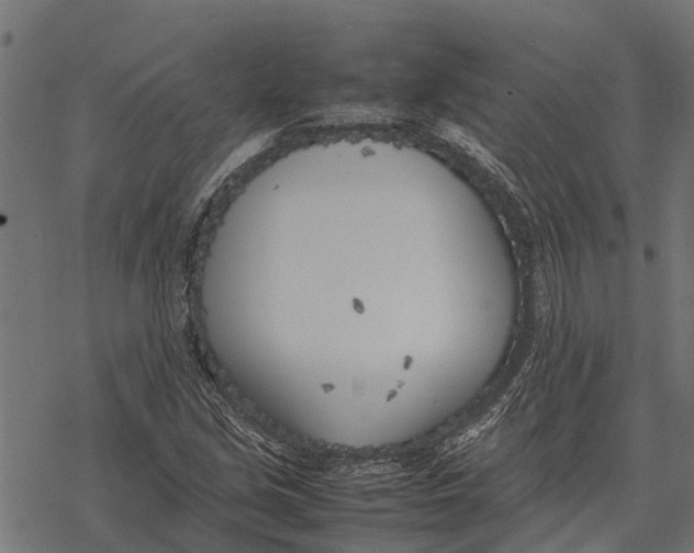 X0000067951213200605041817