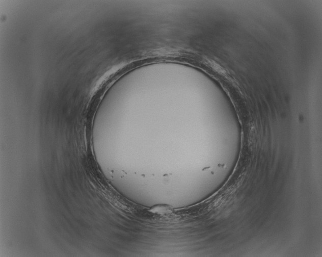 X0000067951214200605041817