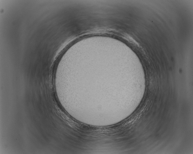 X0000067951216200605041817