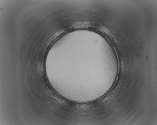 X0000067951217200605041817