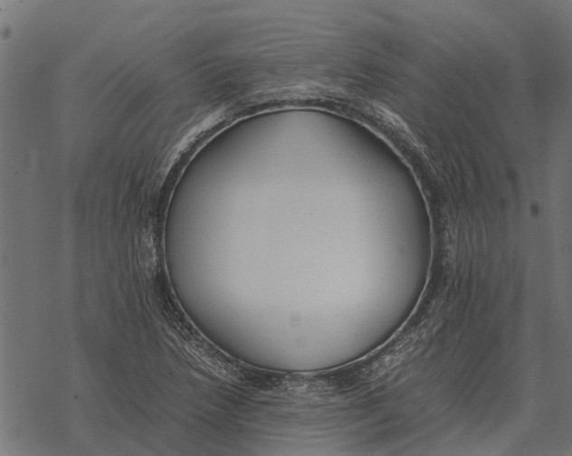 X0000067951218200605041817