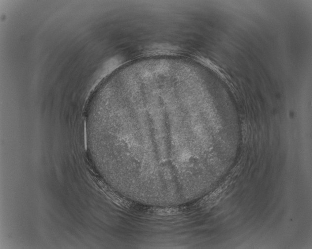 X0000067951219200605041817