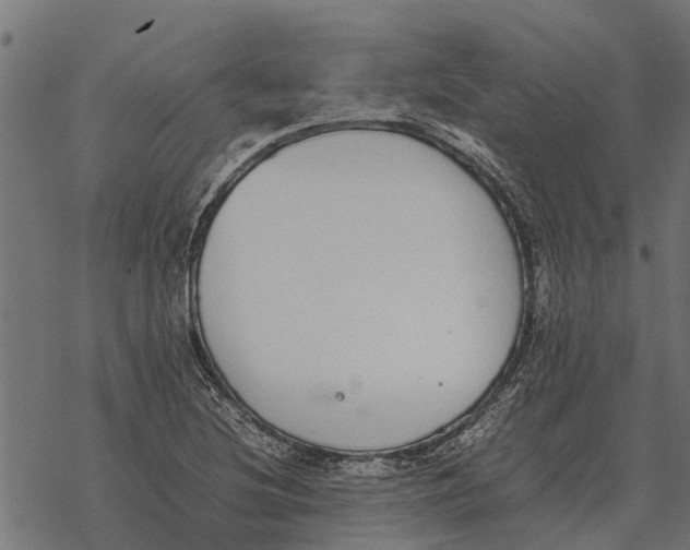 X0000067951220200605041817