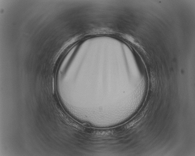 X0000067951221200605041817