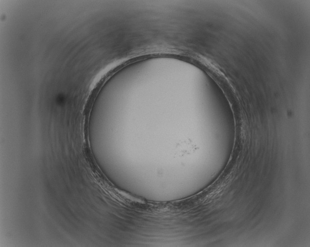 X0000067951222200605041817