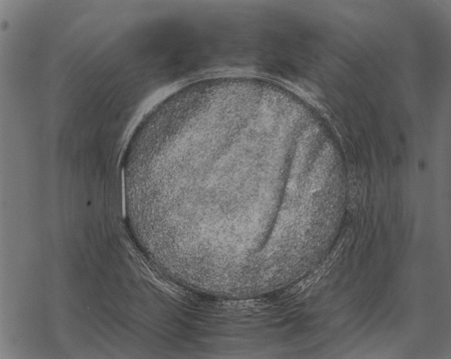 X0000067951223200605041817