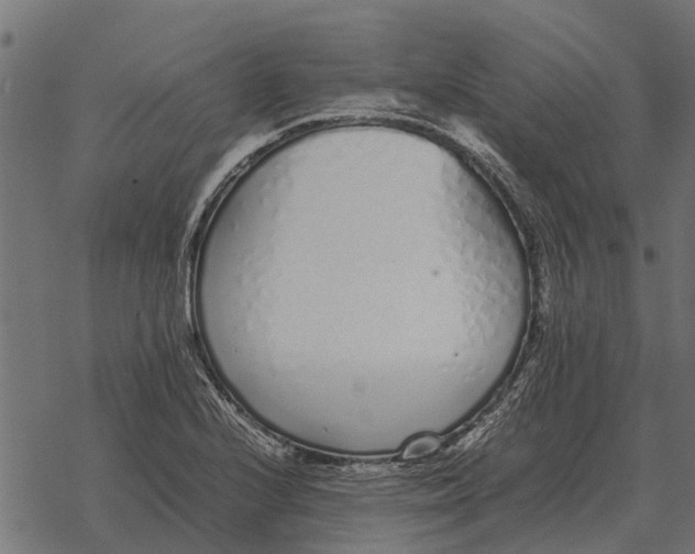 X0000067951224200605041817