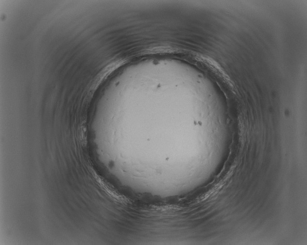 X0000067951225200605041817